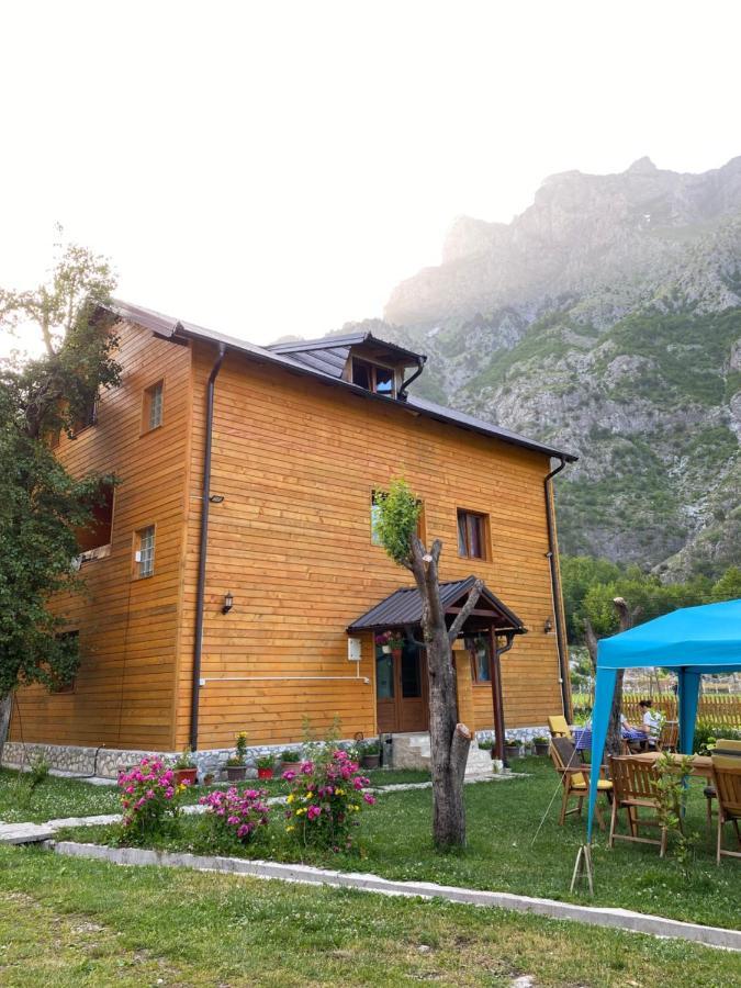 Guesthouse Mehmeti فالبني المظهر الخارجي الصورة